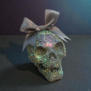 One-of-a-Kind Handcrafted Iridescent AB Crystal Rhinestone Skull